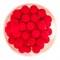 LION BAITS бойл (pop-up) 10 мм WILD STRAWBERRY - 25 гр 16462 - фото 14603