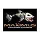 MAXIMUS