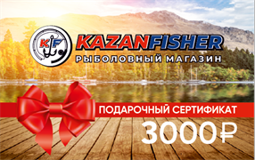 Подарочный Сертификат 3000р №19 29019