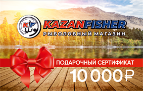 Подарочный Сертификат 10000р №9 29089