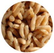 Опарыш 0,5л 32579